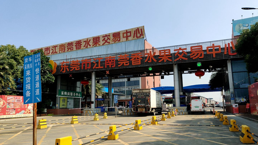 江南莞香水果交易中心