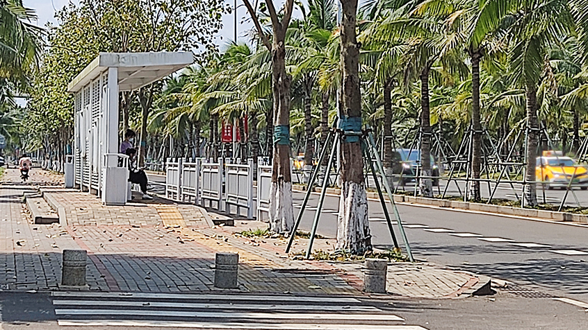 恒大文化旅游城公交站（东）