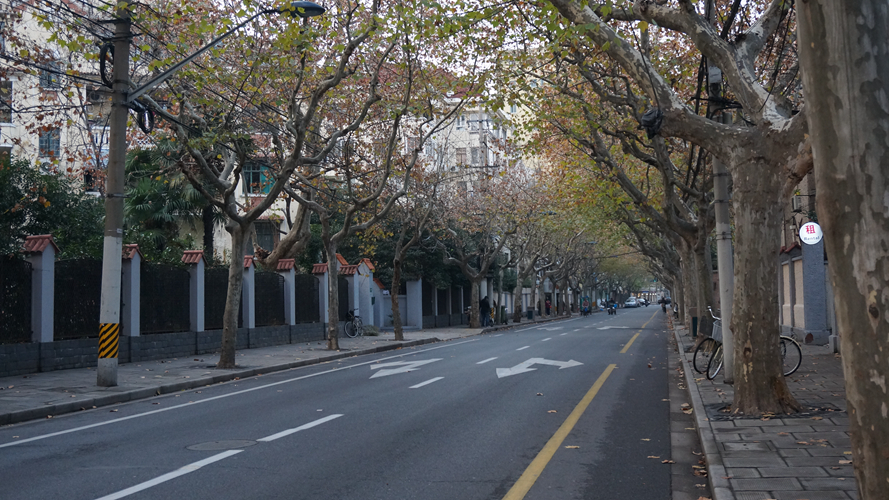 高安路