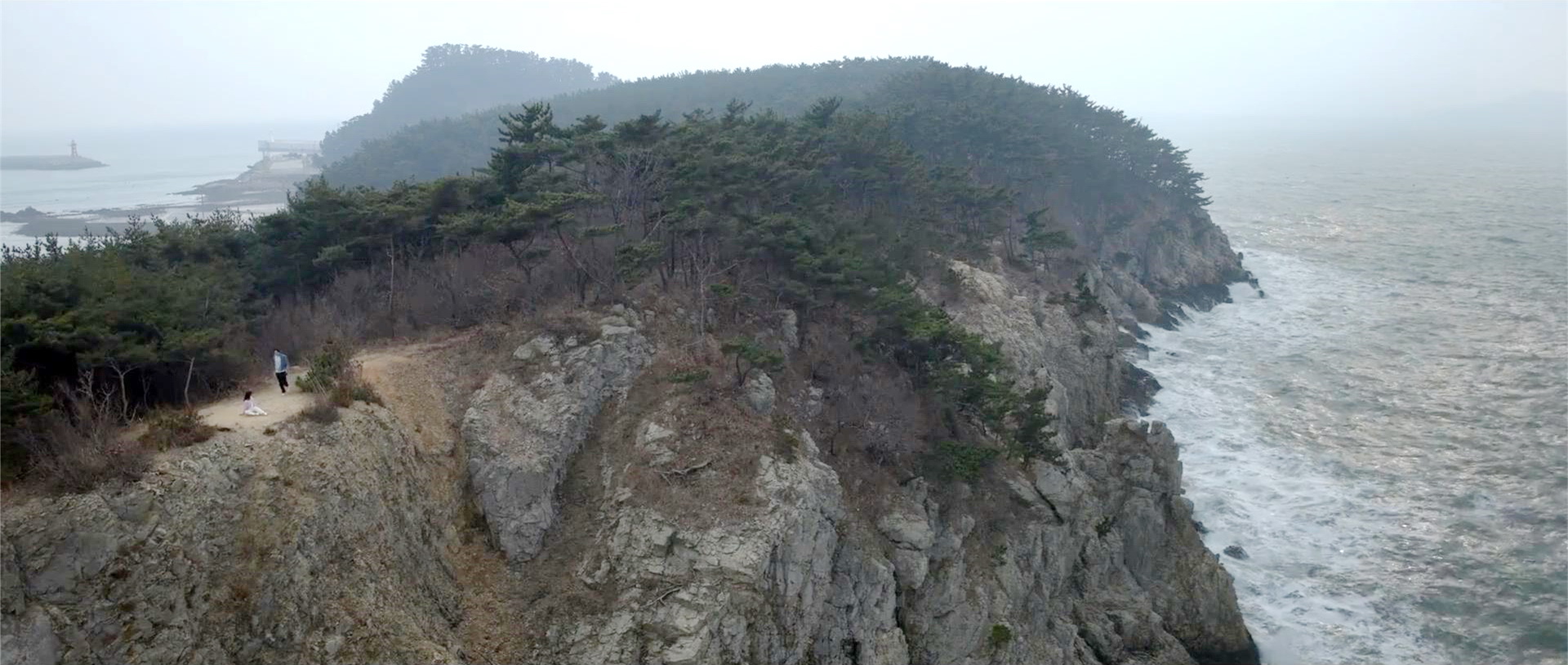 善宰坠海