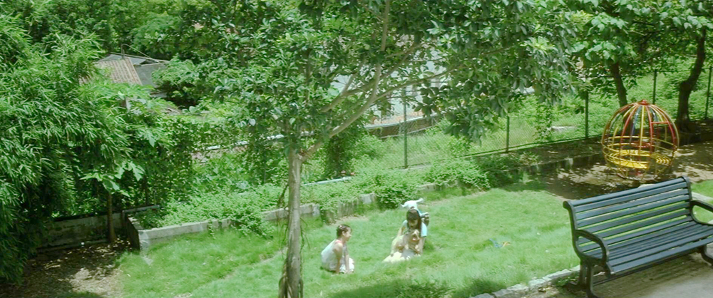 张碧欣抱小狗当当