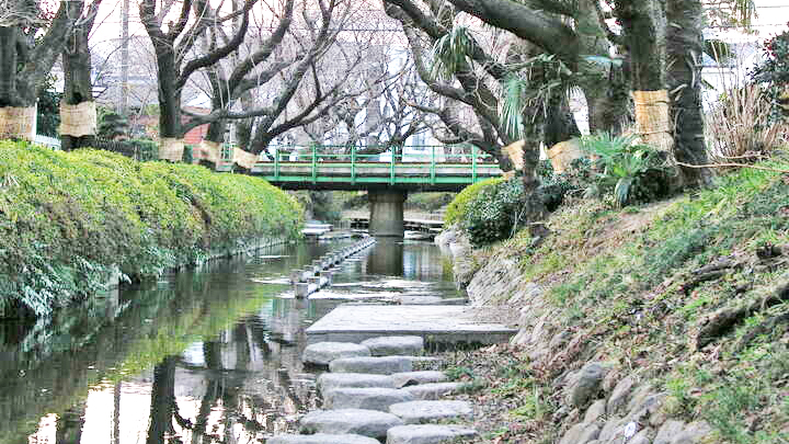 二领灌溉渠 宿河原1丁目24番河段