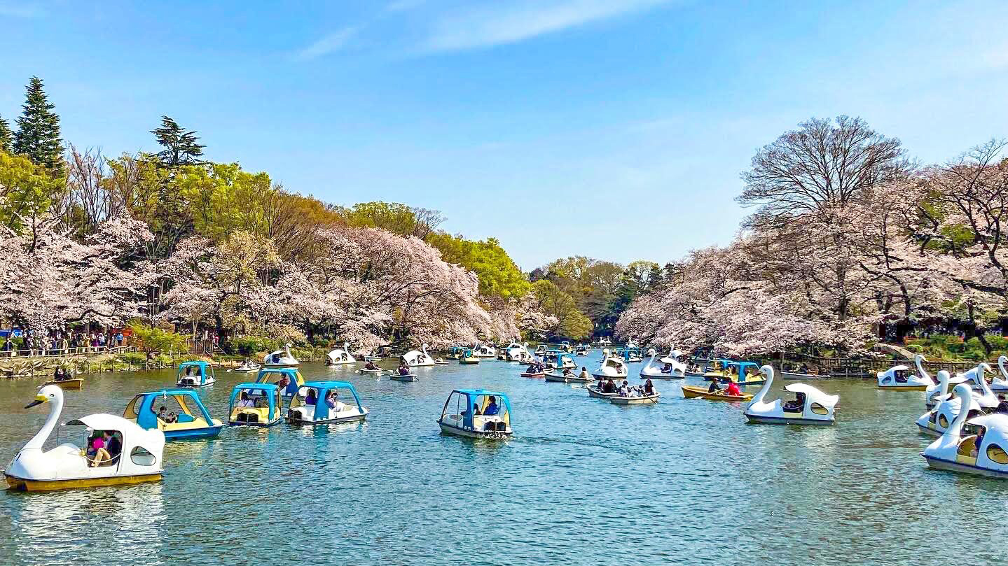井之头公园