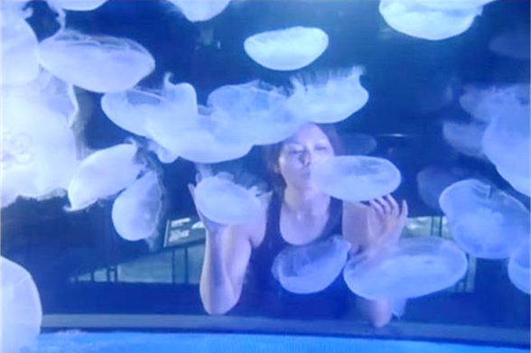 马场看水母的水族馆