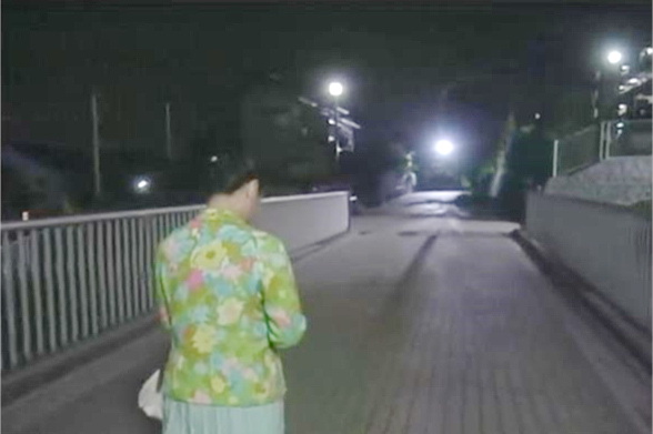 梅子独自回家