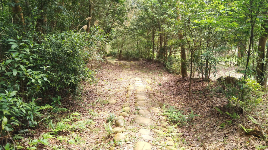 挑炭古道