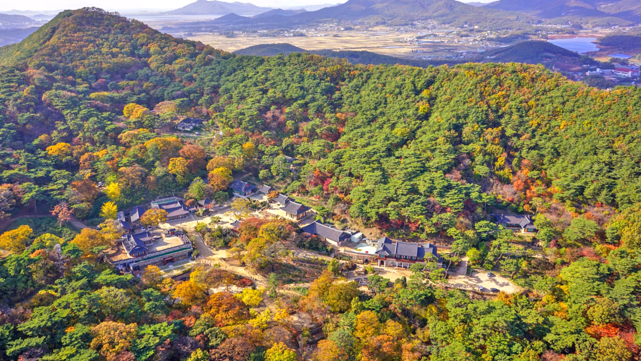 传灯寺