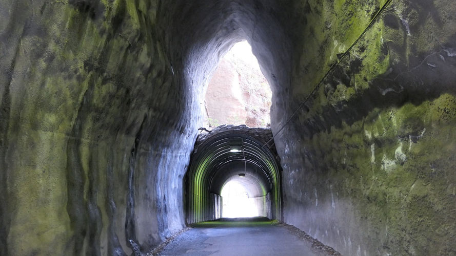 向山共荣隧道
