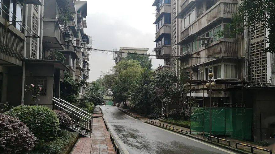 维园社区
