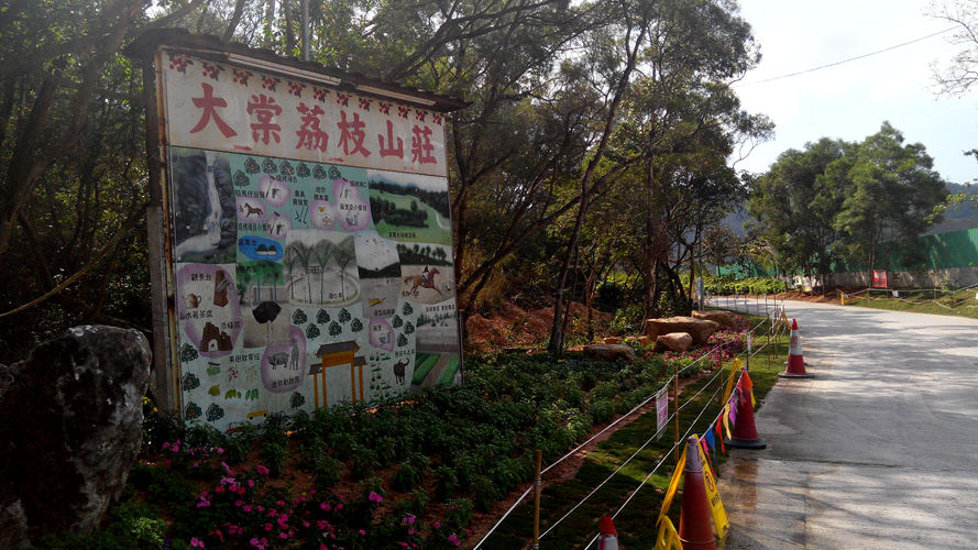 大棠荔枝山庄