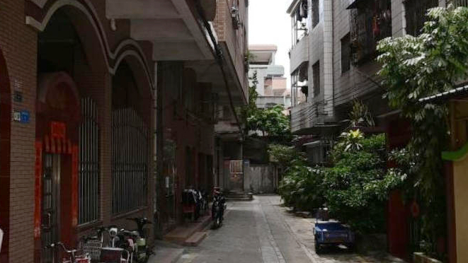 忠维村