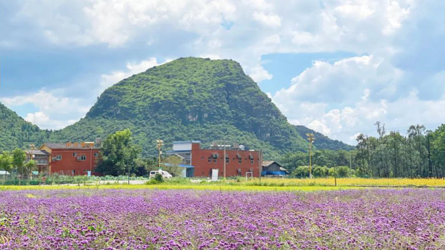 花仙谷花海景区