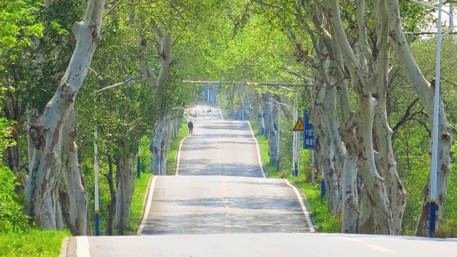 五大路近陈家湾路段