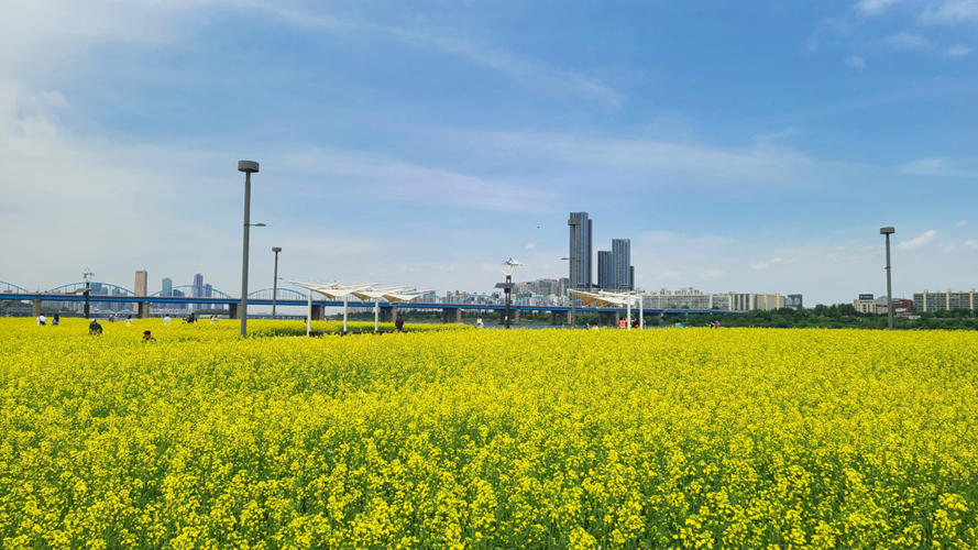瑞来岛