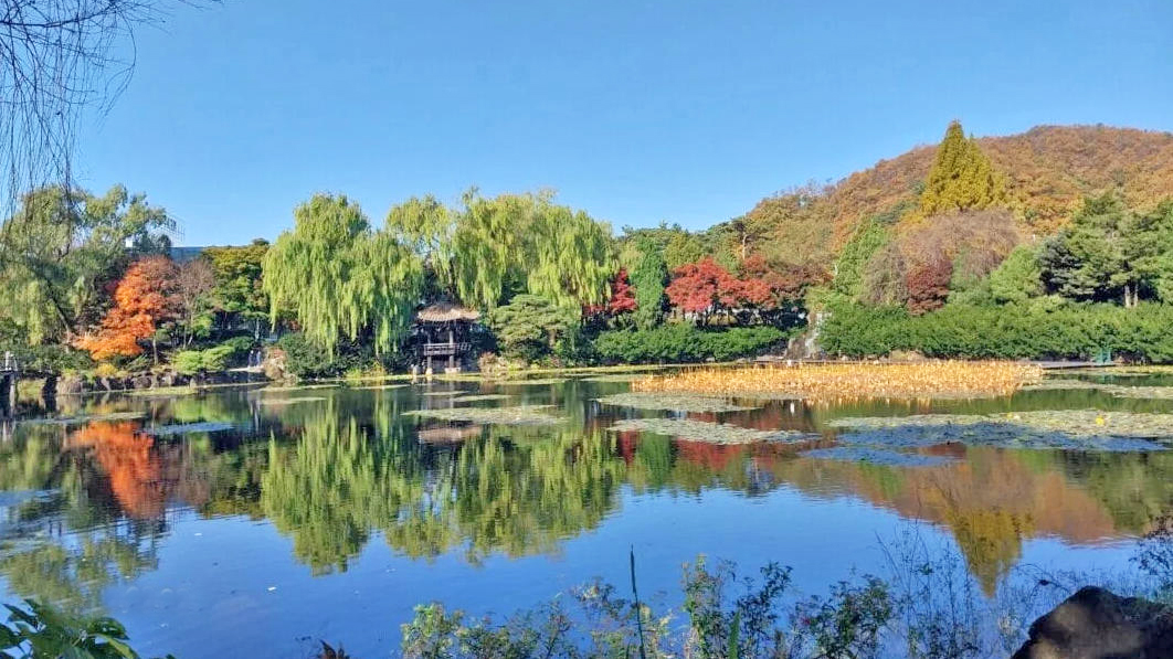 碧草池树木园