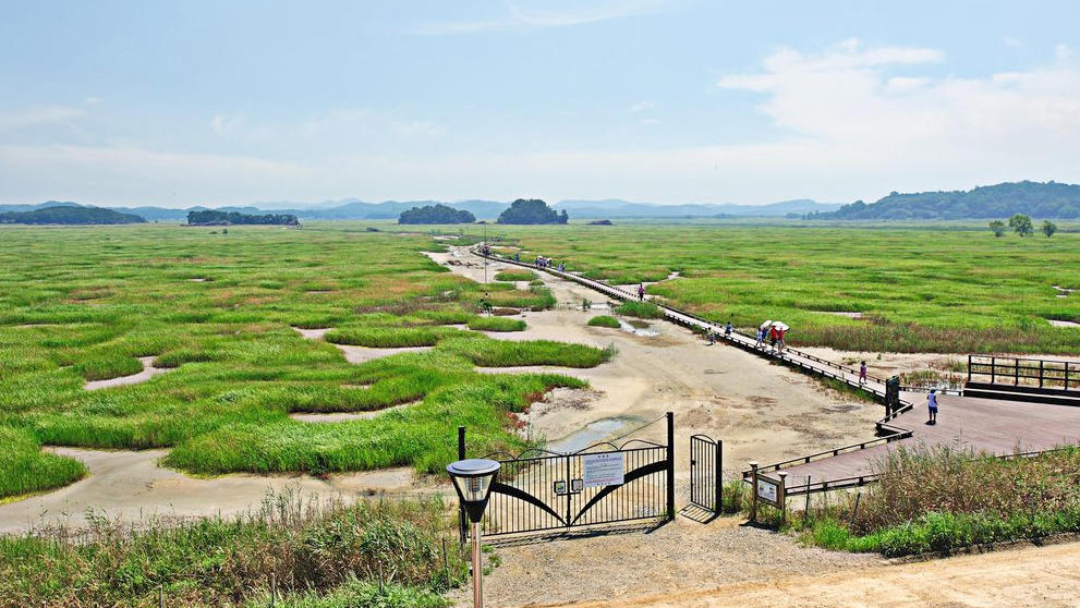 华城恐龙蛋化石地