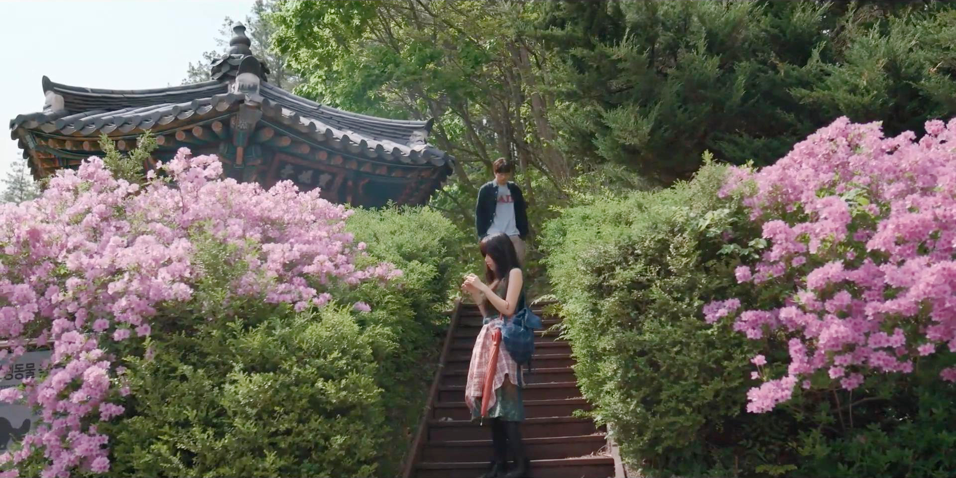 恩浩送画给贞媛