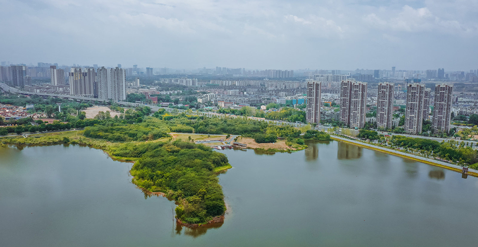 青龙湖湿地公园