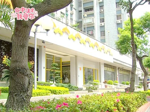 欣怡重逢孕妇玛丽