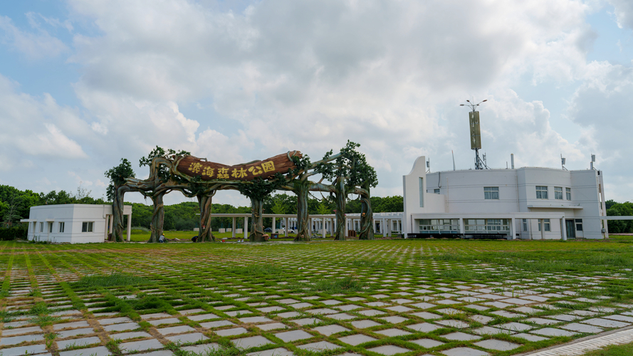 上海滨海森林公园