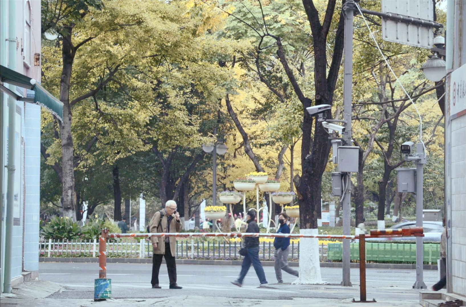 给淑娟打电话