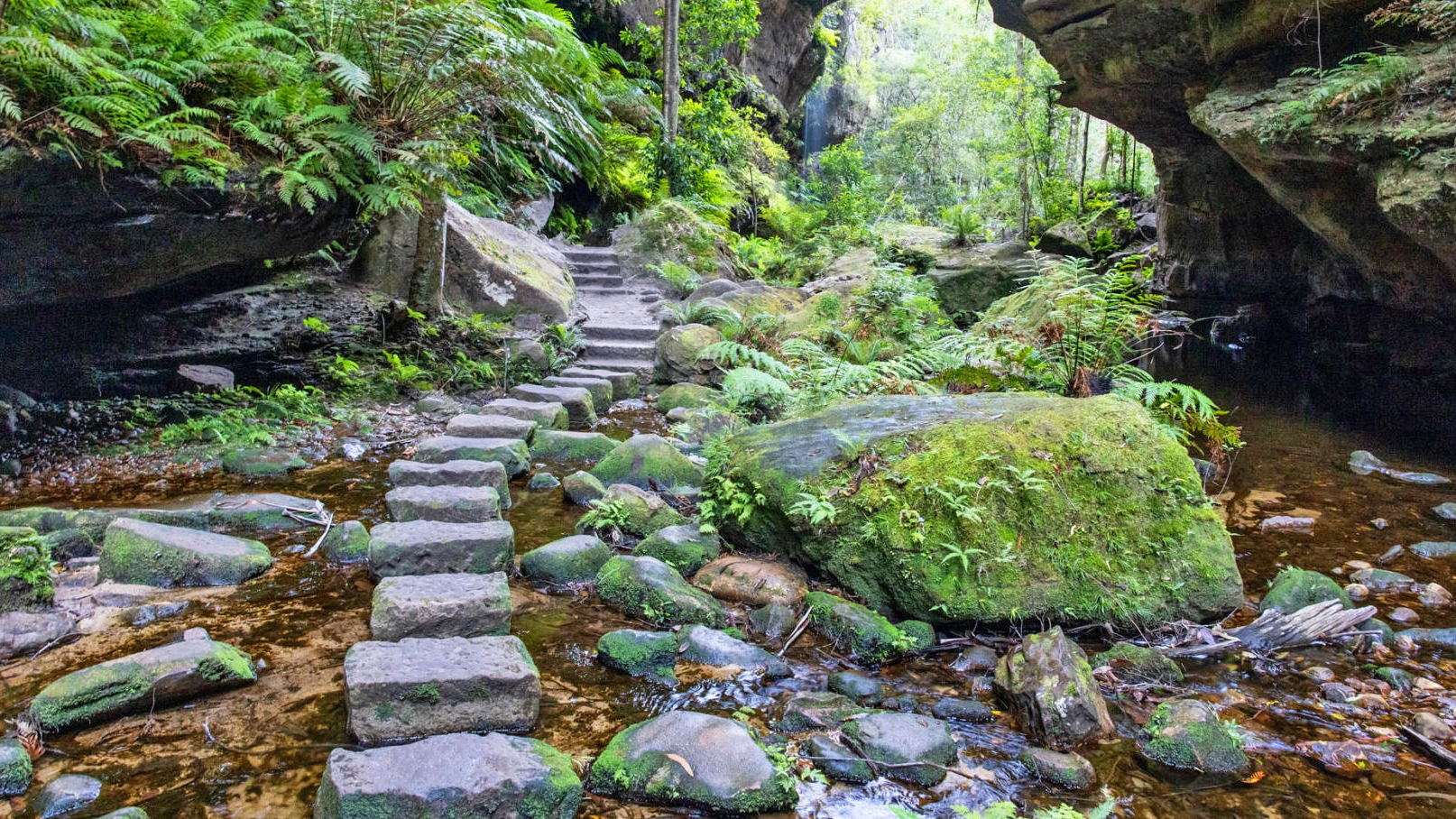 大峡谷步行道