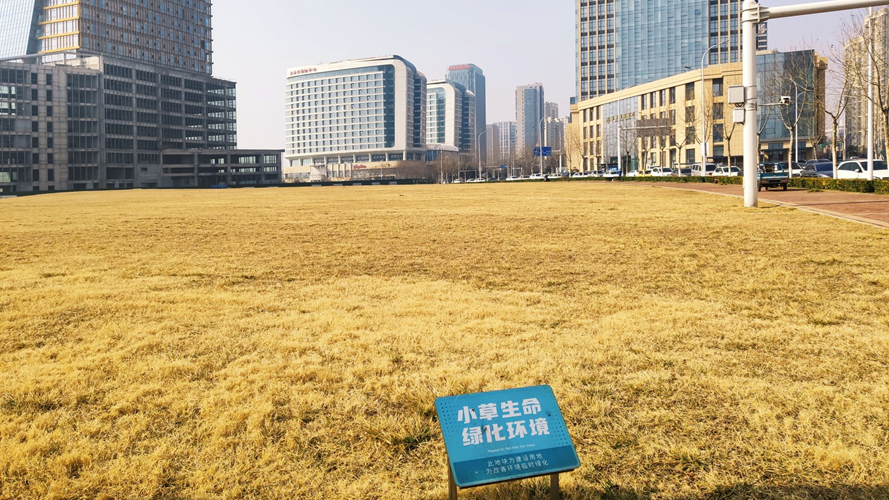 唐岛湾金融科创区空地