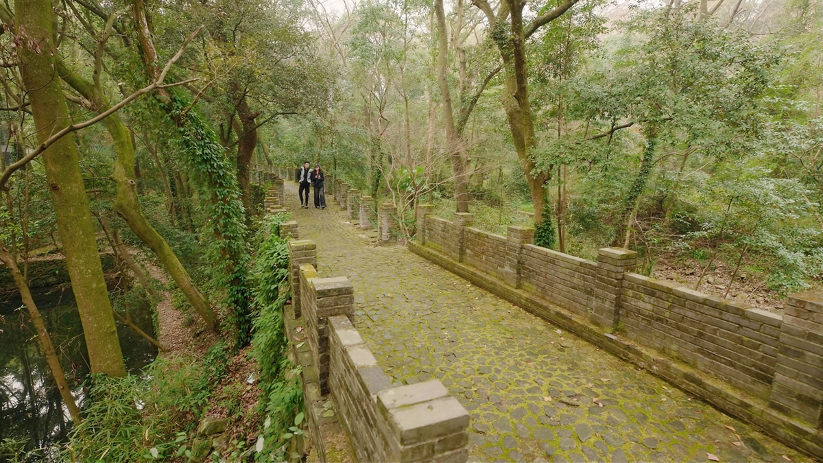 顾屿林媛观鸟