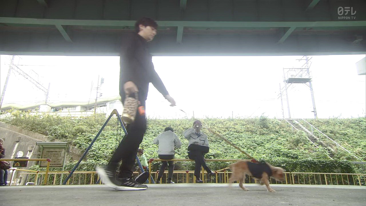 园田偶遇阿满遛狗