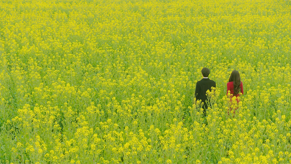 想象中的花田