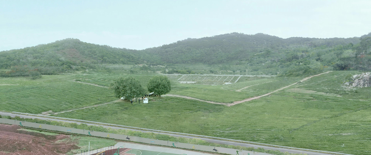 两棵榕树