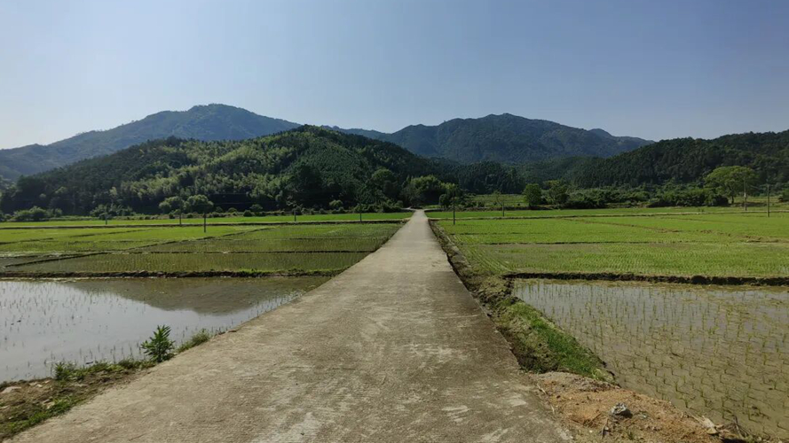吴丹村
