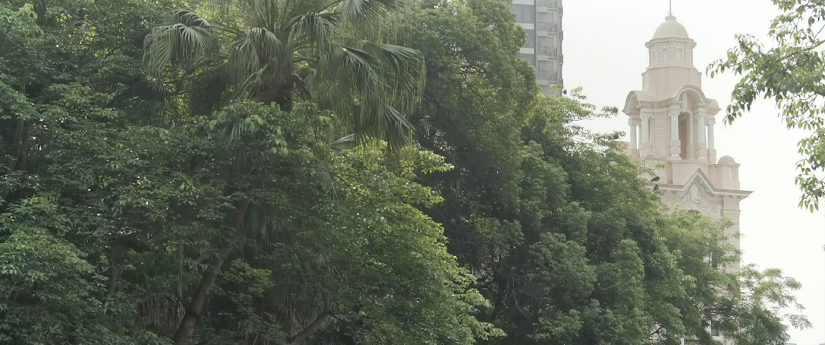 香港大学