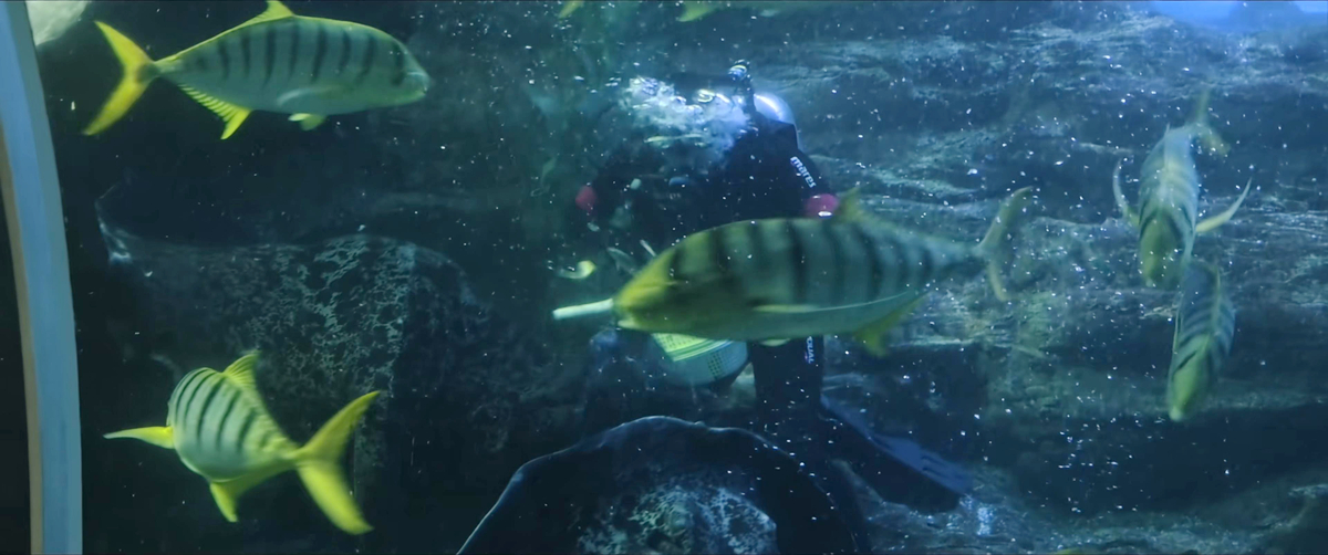海洋水族馆