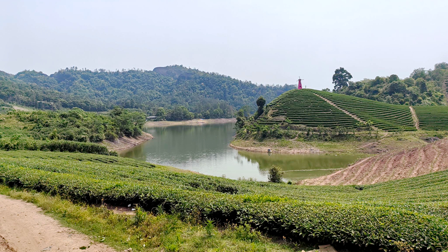 连坞茶山